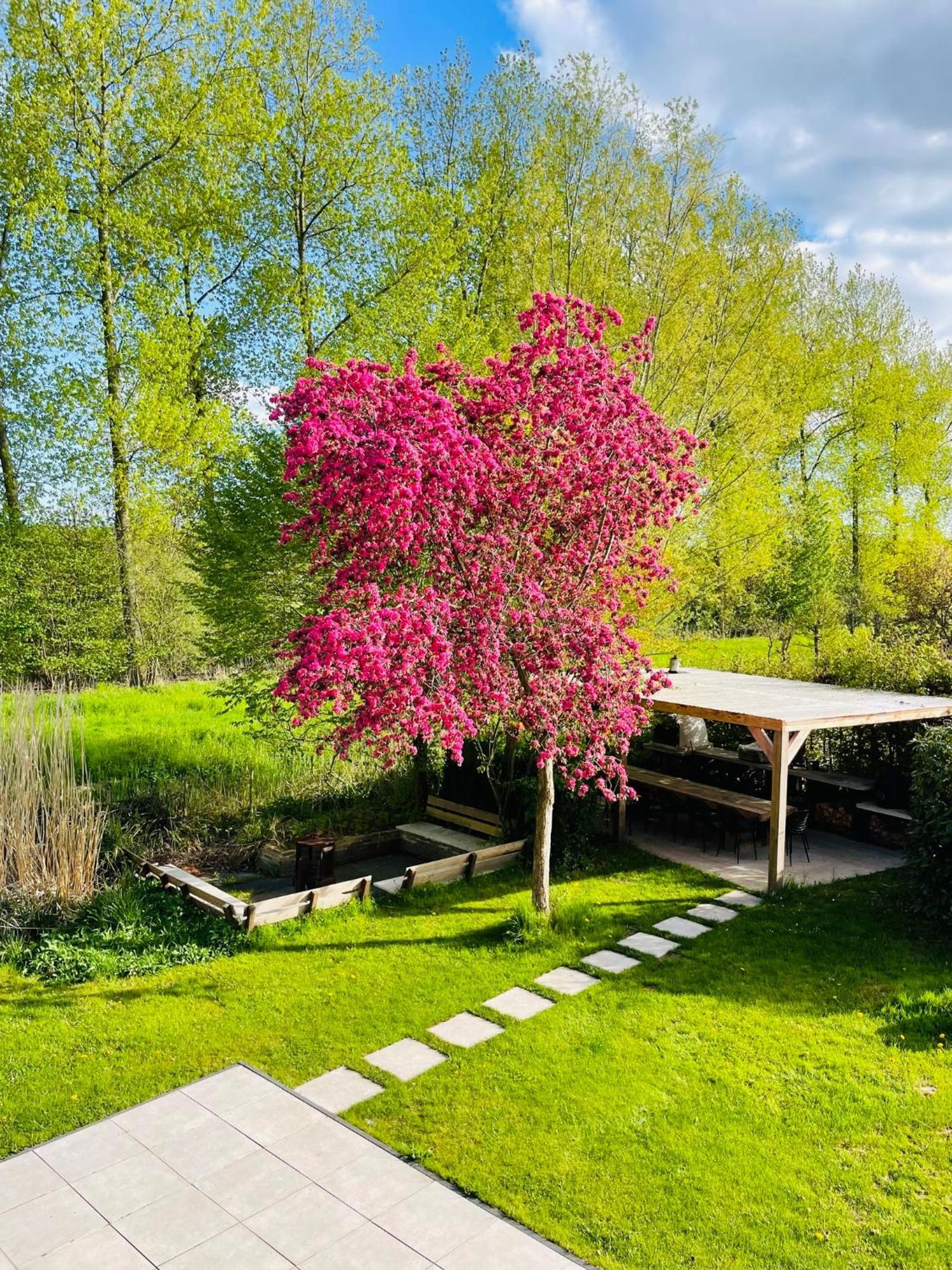 Villa Calma Rust Ruimte Luxe Inclusief Private Jacuzzi Zeewolde Exterior photo